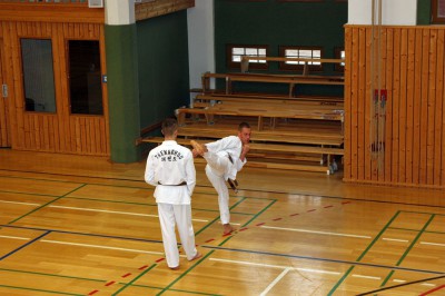 DP_2013_11