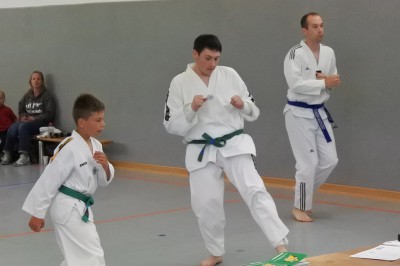Pr 2016S 41