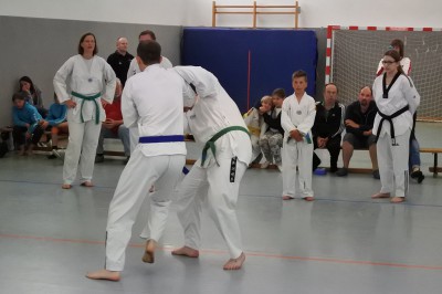 Pr 2016S 73