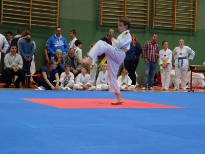 Landesmeisterschaft Poomsae 2014