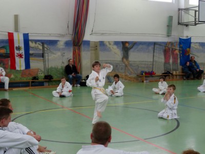 SV_2014_25
